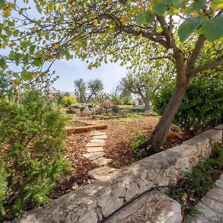 Trulli Orma Martina Franca