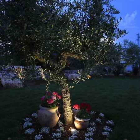 Trulli Orma * 马丁纳弗兰卡